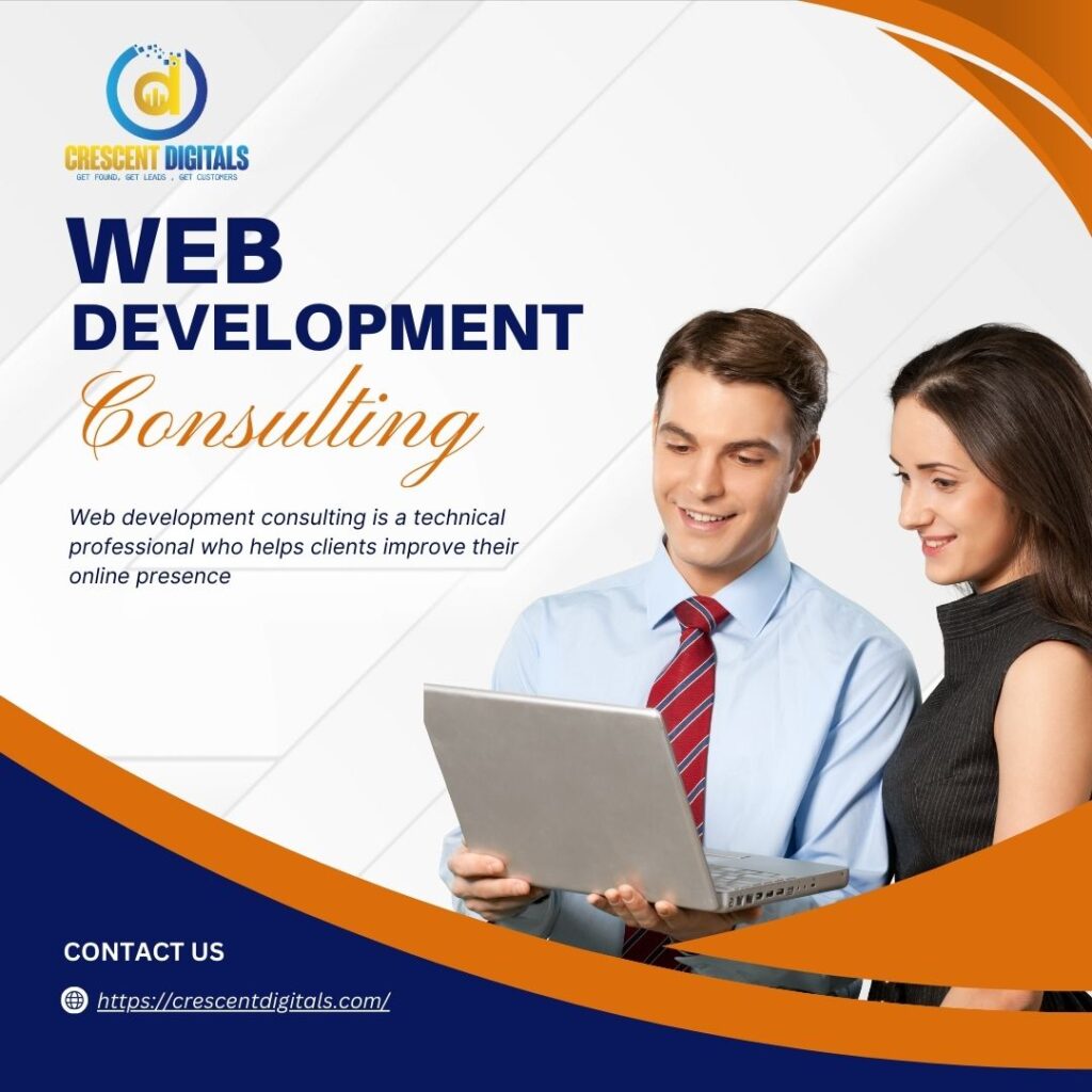 Web Development Consulting